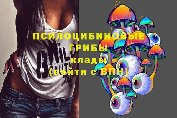 прущая мука Галич