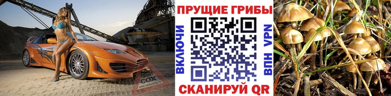 Псилоцибиновые грибы GOLDEN TEACHER  мега рабочий сайт  Ейск 