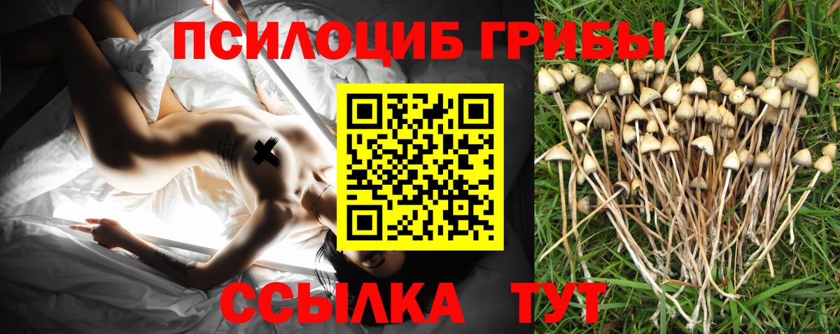 Галлюциногенные грибы GOLDEN TEACHER  Псилоцибиновые грибы Magic Shrooms  Вход с VPN  Ейск 