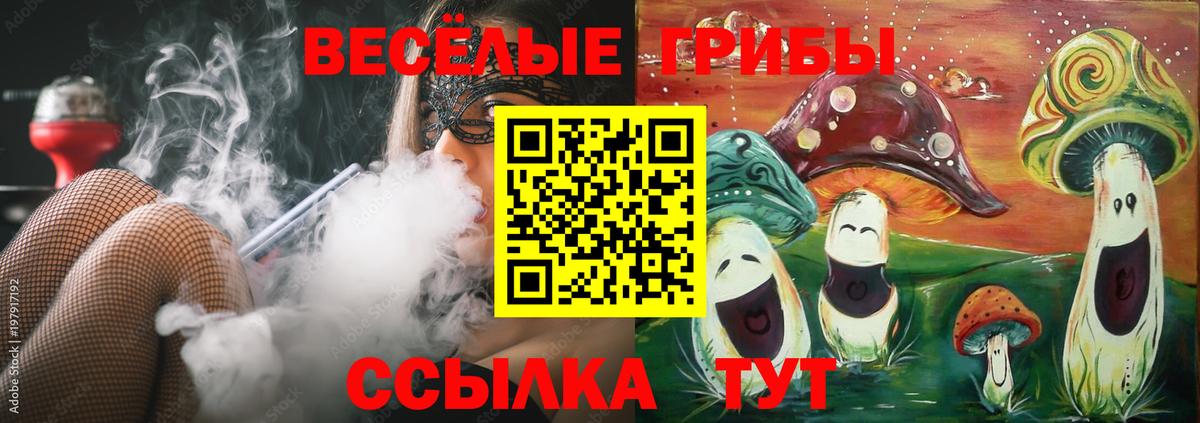Псилоцибиновые грибы Psilocybine cubensis Ейск